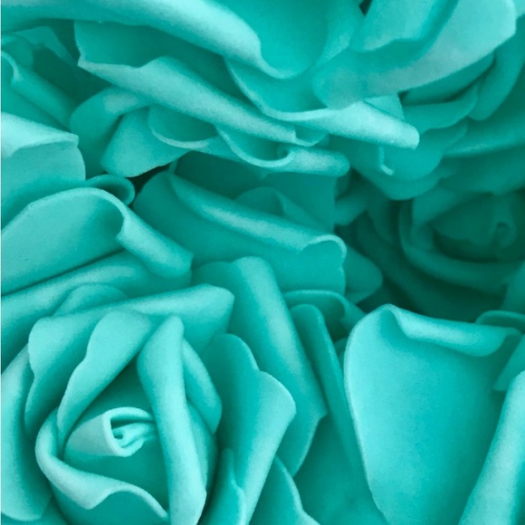 Meet your Posher, Danielle - Picture 11 of 13